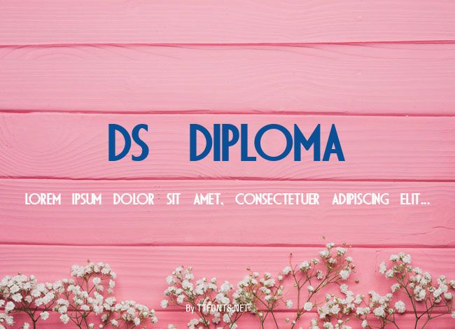 DS Diploma example